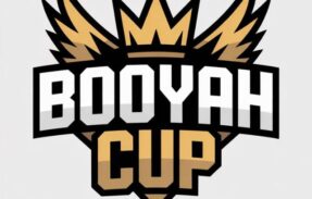 Imagem do grupo de WhatsApp BOOYAH CUP  SQUAD EDITION