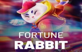 HORÁRIOS DO FORTUNE RABBIT 