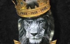 Imagem do grupo de WhatsApp KIING VIRTUAL l FREE 