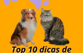 Imagem do grupo de WhatsApp Top 10 melhores dicas de receitas caseiras e baratas