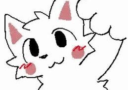 Imagem do grupo de WhatsApp Cat Community // 