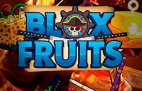 Imagem do grupo de WhatsApp Blox Fruits