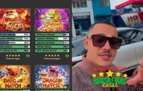 Imagem do grupo de WhatsApp 🇧🇷 VIP LEÃO SILVERCOP 