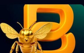 Imagem do grupo de WhatsApp Bee fund o Retorno