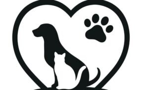 Imagem do grupo de WhatsApp Amor por pets 
