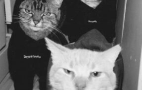 Imagem do grupo de WhatsApp  『 𝐆𝐑𝐔𝐏𝐎𝐆𝐄𝐑𝐀𝐋 』