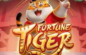 Imagem do grupo de WhatsApp  Horário Pagante Fortune Tiger 