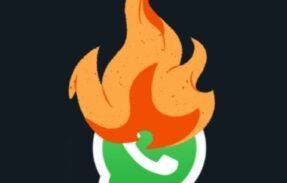 Imagem do grupo de WhatsApp  DECOLA ZAP
