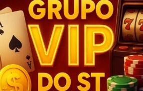 Imagem do grupo de WhatsApp Grupo Vip do ST