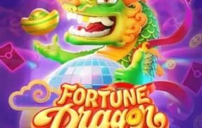 Imagem do grupo de WhatsApp SINAIS DRAGON – ESPORTE DA SORTE 
