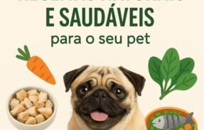Imagem do grupo de WhatsApp Patinhas Gourmet