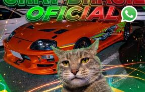 Imagem do grupo de WhatsApp ⏤͟͟͞͞𝐂𝐡𝐚𝐭 𝐁𝐫𝐚𝐬𝐢𝐥 𝐎𝐟𝐢𝐜𝐢𝐚𝐥