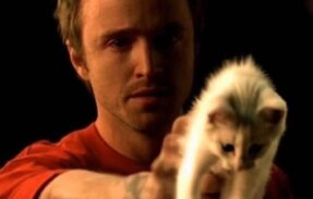 Imagem do grupo de WhatsApp N𝘰 𝘣𝘪𝘵𝘤𝘩𝘦𝘴 𝘩𝘦𝘳𝘦 