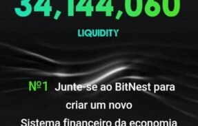 Imagem do grupo de WhatsApp BITNEST, 24% JUROS