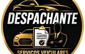 Imagem do grupo de WhatsApp DESPACHANTE  SERVIÇOS VEICULARES ‍