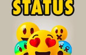 Imagem do grupo de WhatsApp STATUS