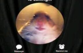 Imagem do grupo de WhatsApp Os Renegados 