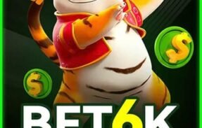 Imagem do grupo de WhatsApp Plataforma Bet6k 