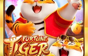 Imagem do grupo de WhatsApp Plataformas com bônus