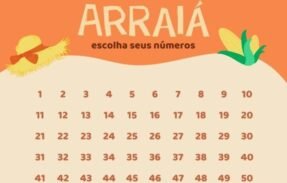Imagem do grupo de WhatsApp RIFA DE SÃO JOÃO