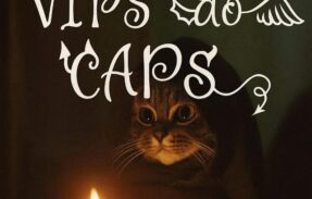 Imagem do grupo de WhatsApp 𝐕𝐈𝐏𝐬 𝐝𝐨 𝐂𝐀𝐏𝐒 𖠃