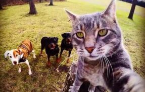 Imagem do grupo de WhatsApp HOSPÍCIO (os sem futuro) 