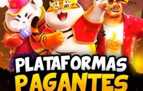 Imagem do grupo de WhatsApp Plataformas Pagantes