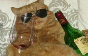 Imagem do grupo de WhatsApp Psicólogos de boteco