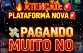 Imagem do grupo de WhatsApp SLOTS LS 