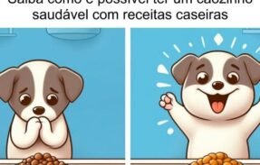 Imagem do grupo de WhatsApp Receita para pets