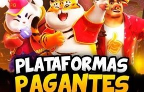  Plataformas pagantes! 