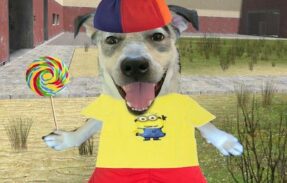 Imagem do grupo de WhatsApp las vegas 