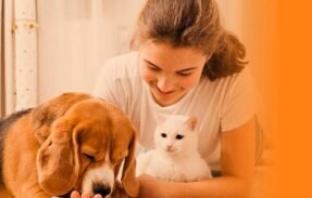 Imagem do grupo de WhatsApp Bem-Estar para seu pet