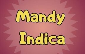Mandy Indica – PROMOÇÕES E ACHADINHOS