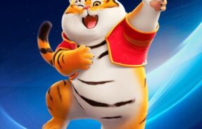 Imagem do grupo de WhatsApp PLATAFORMAS 