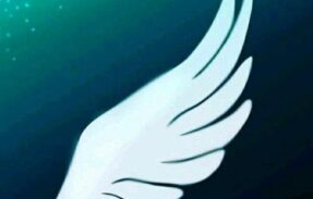 Imagem do grupo de WhatsApp MT Vendas