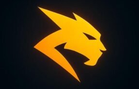 Imagem do grupo de WhatsApp PL 🇧🇷