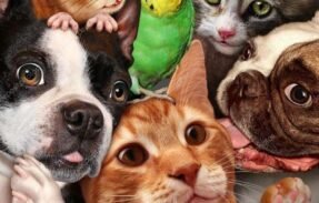 Imagem do grupo de WhatsApp Amor aos Pets 