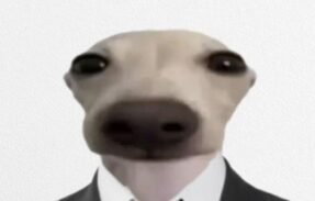 Imagem do grupo de WhatsApp ⋆. 𐙚˚࿔ 𝙿𝚄𝚁𝙴𝚉𝙰 𝜗𝜚˚⋆