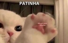 Imagem do grupo de WhatsApp 请阅读 I 𝘄𝗮𝗻𝗻𝗮 𝖇𝖊 your s̶l̶a̶v̶e̶