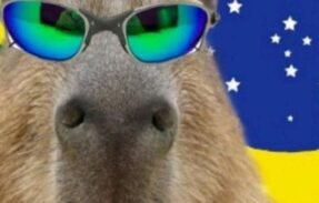 Imagem do grupo de WhatsApp BRAINROT