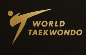 Imagem do grupo de WhatsApp 🇧🇷 Taekwondo 🇰🇷