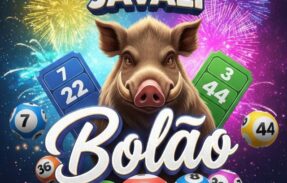 Imagem do grupo de WhatsApp Bolão Javali  Mega da Virada 2025