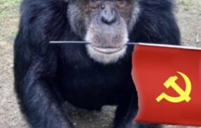 Imagem do grupo de WhatsApp as plus plus
