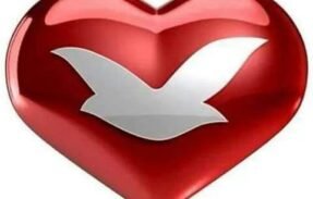 Imagem do grupo de WhatsApp  Conexão Universal