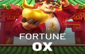 HORÁRIOS DO FORTUNE OX 