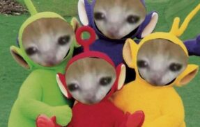 Imagem do grupo de WhatsApp Central de Memes & Caos