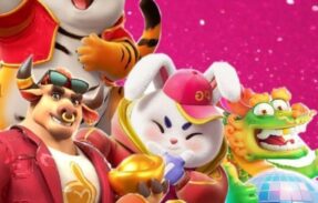 Imagem do grupo de WhatsApp Plataformas pagantes janeiro 2026