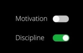 Imagem do grupo de WhatsApp Disciplina 