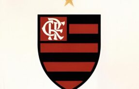 Imagem do grupo de WhatsApp 𝗙𝗹𝗮𝗺𝗲𝗻𝗴𝗼  ⎜ 𝗖𝗥𝗙 